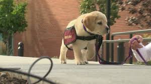 download 2020 10 02T153539.984