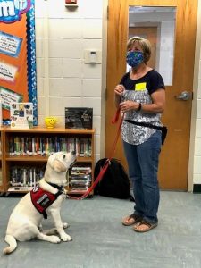 20201119 132643 K9s for Warrios puppy