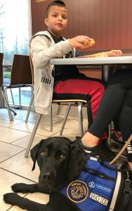 23409517_web1_201122 MRN WoofChallenge Rosie_2