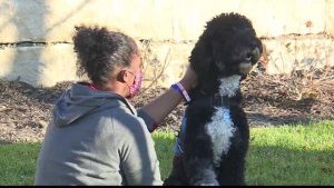 47d05d89 592d 415f ac8c aedf1a5e324b_image