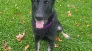 download 2020 11 18T101400.206