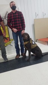 07dsn Veterans service dogs1