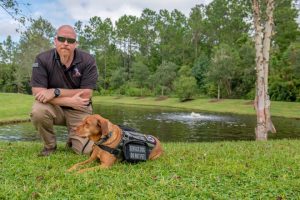 10bcc7d4 5e5d 4b37 8cbf 30e8f8262be8 Seresto 6