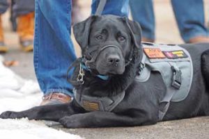 2020 12 12 ClearPathVets TC 038_350w