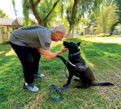 5fb80c55ab70a.image 1