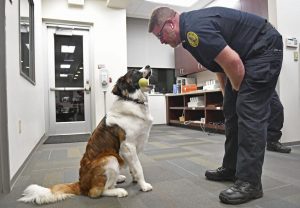 5fdd1155c3725.image_