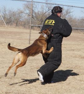 5fded9f22b453.image_