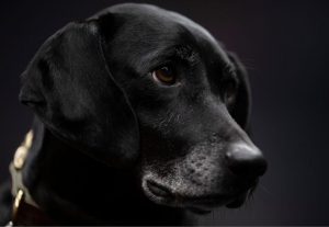 6f5a740d 516c 436e 94a2 6d3913233d5d jimmy1215a