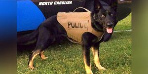 RTX4RBQSENCCVIVPBEXL57NQHI