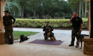 c72238e8 68fb 4248 9bf5 1199e7b23d84 DOGS_MEET_GROUP_AT_SUN_CITY_1 1