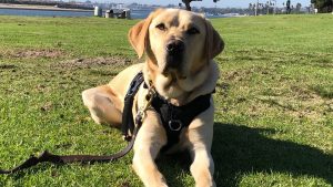 c8f3fc02 6cd8 447d 896e f352f379b2ef_1140x641