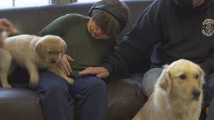 download 2020 12 10T145436.831