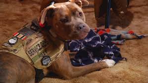 download 2020 12 18T114035.905