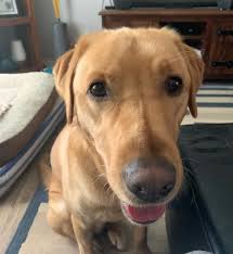 download 2020 12 22T123629.133