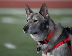 download 2020 12 28T122030.707