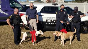 f82b43ab b612 445f aaaf 1bbda6db3184 k901