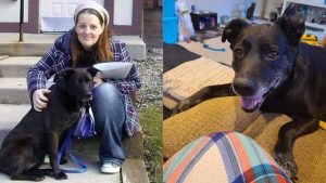 lolanew site size1280x720_62 recovered