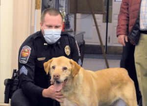 5feff92b2f727.image_