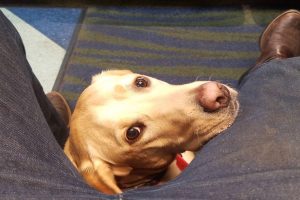 25313959_web1_210527 vne diabetes _2