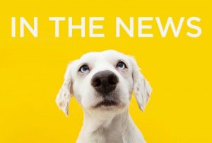 02 in the news is 1309916088 800×538 opt_46