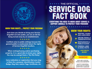 brochure 300×223 (1)