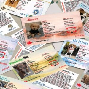 servicedogs canada multiple cards 600×376