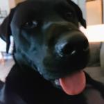 Buck at his very best, as always.