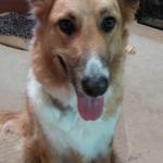 Nia being photogenic