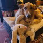 Nia with her new bunny