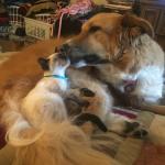 Nia with her new baby brother