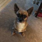 My Buddy Tag chillin.