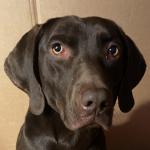 Coco 40 words 7 signs