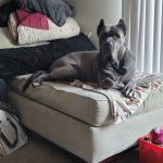 BellaMae January 2021