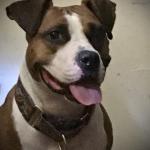 Daisy Profile Picture