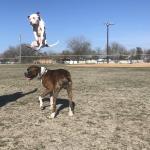 Petty getting some air with his bro