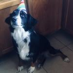 Birthday boy 2 years