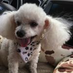 Sarah at the beauty salon