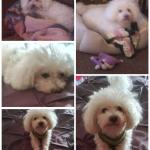 My Love