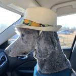 Gabriail Seth Morrow