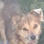 Mr. Nikko in his cuteness