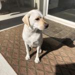 Alexis 2019 in Montrose