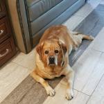 Good Timber on a break