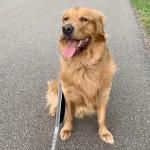 Tucker Lewis Clark :)