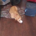 This is star at home