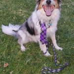 He helps me get through everything.