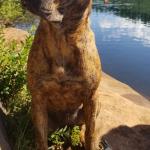 Tessa after swimming