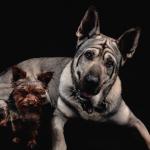 Holidays with Max and his best friend Jack