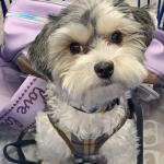 Oreo Gill’s picture