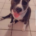 Mindy the Support Shadow