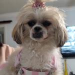 Bella's second birthday